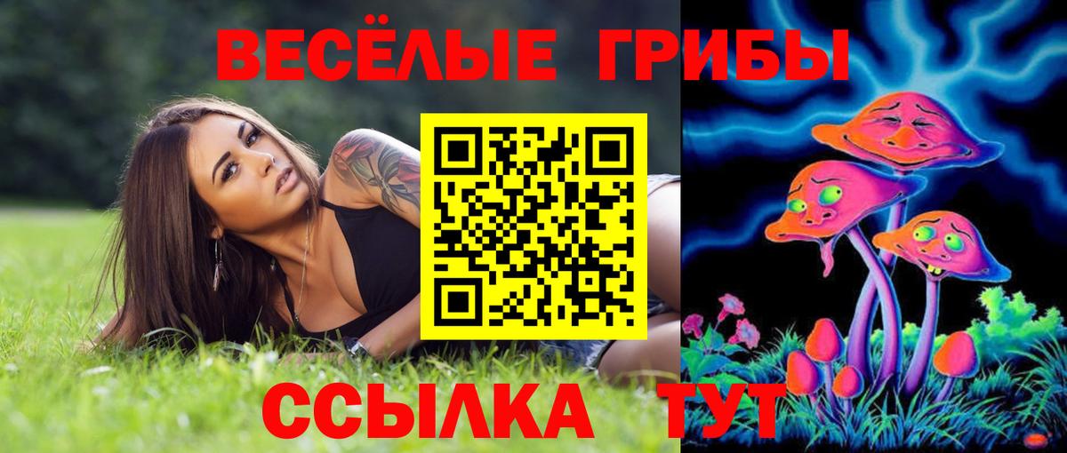 Псилоцибиновые грибы мухоморы  Вход с VPN  Дюртюли 