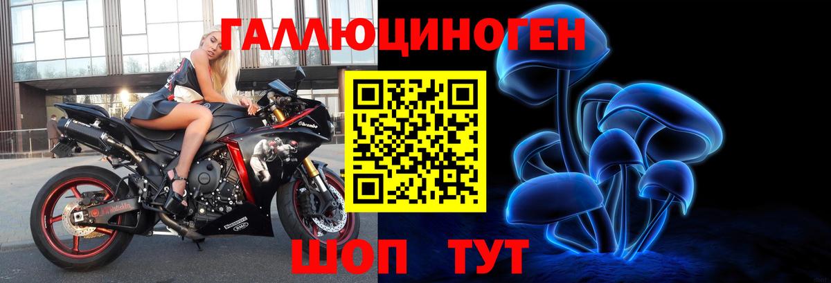 Галлюциногенные грибы Psilocybe Дюртюли